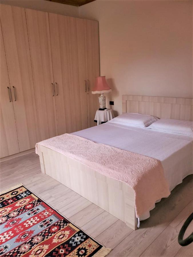 Tirana Traditional Home Экстерьер фото
